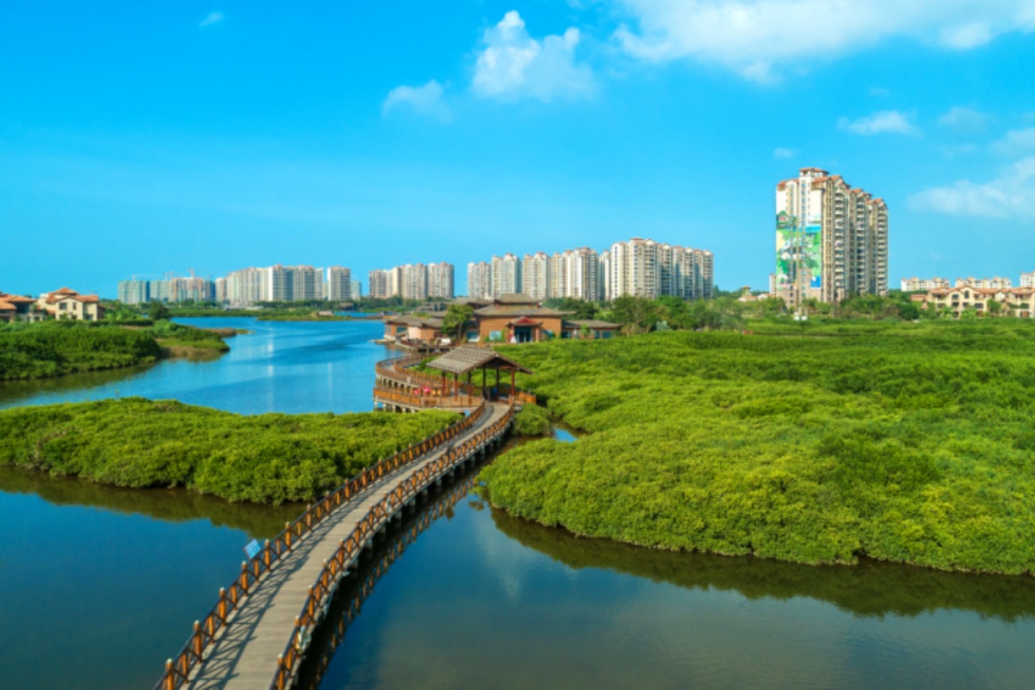 Mangrove Wetland Park